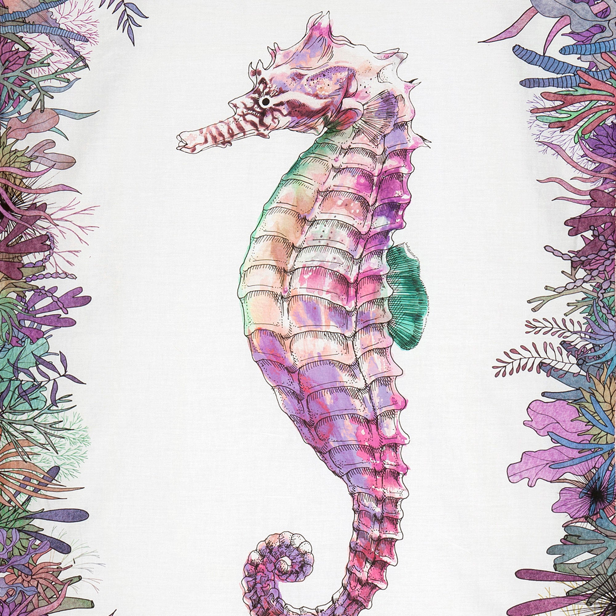 WWF Seahorse